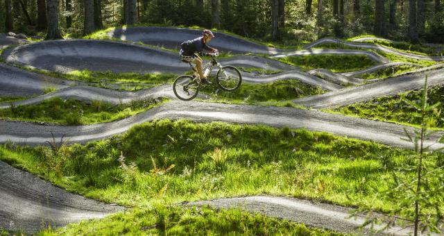 Cycling - Coed y Brenin