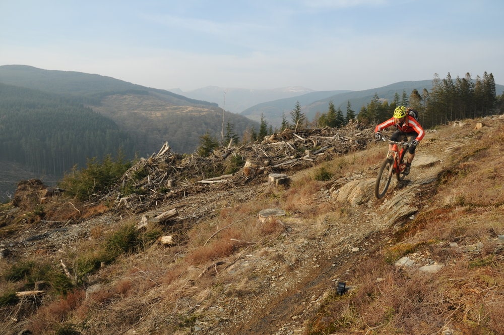 Cycling - Forest Trails