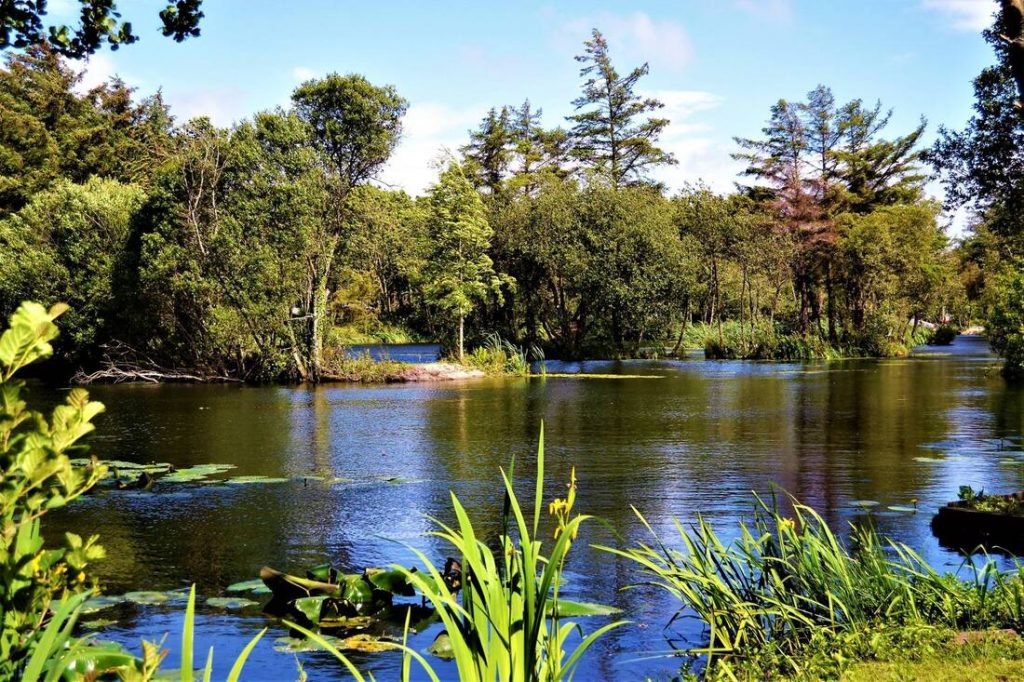 Fishing - Llyn y Gors | Ty Coed 63