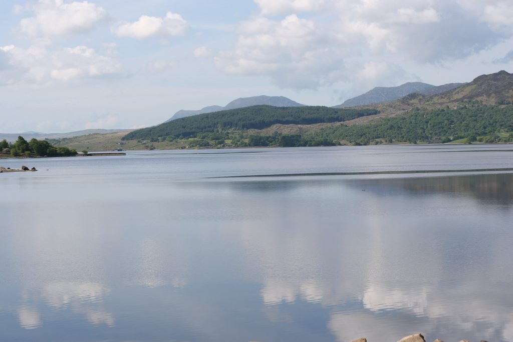 Fishing - Llyn | Ty Coed 63