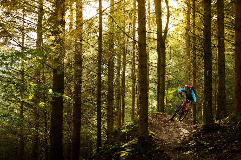 Cycling - Gwydyr Forest